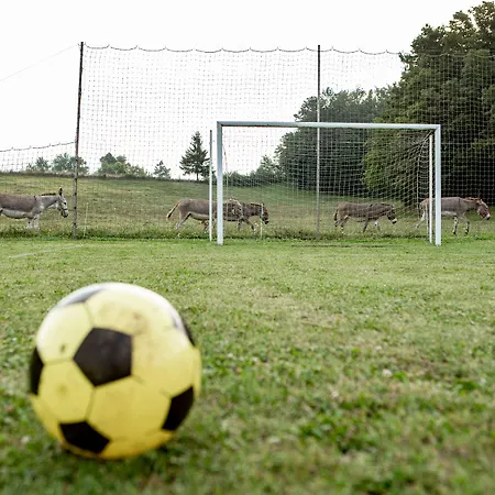 Ekoturizem Hudicevec Pensjonat Postojna