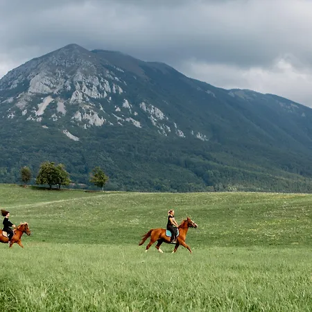 Ekoturizem Hudicevec Guest house Postojna