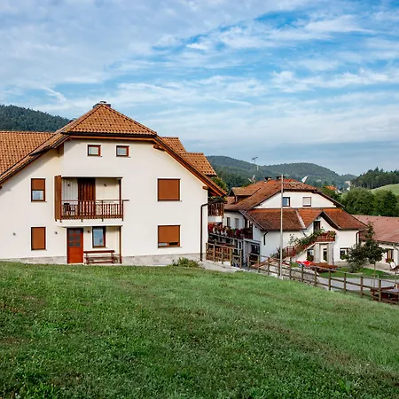 Ekoturizem Hudicevec Guest house Postojna