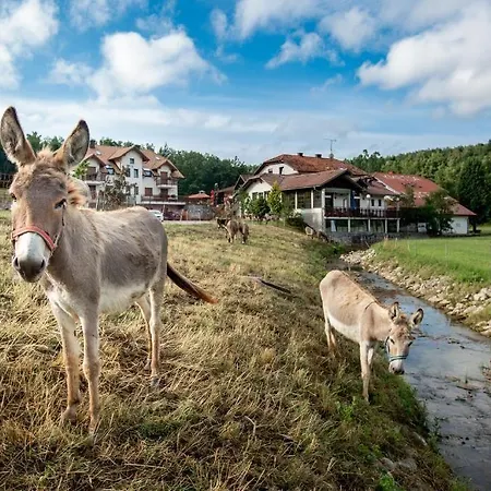 Gostinjska kuća Ekoturizem Hudicevec Postojna