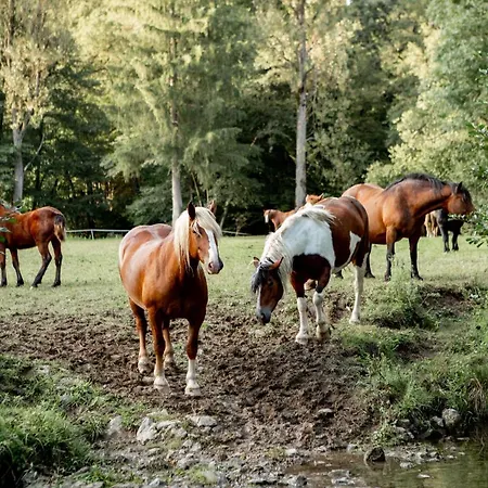 Ekoturizem Hudicevec 4* Postojna