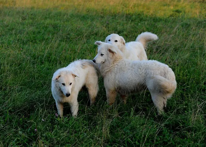 Ekoturizem Hudicevec Гостевой дом 4*