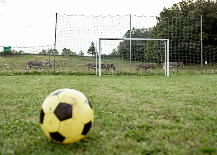 Ekoturizem Hudicevec Гостевой дом Постойна