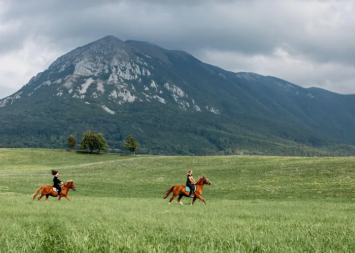 Ekoturizem Hudicevec Gasthof Postojna