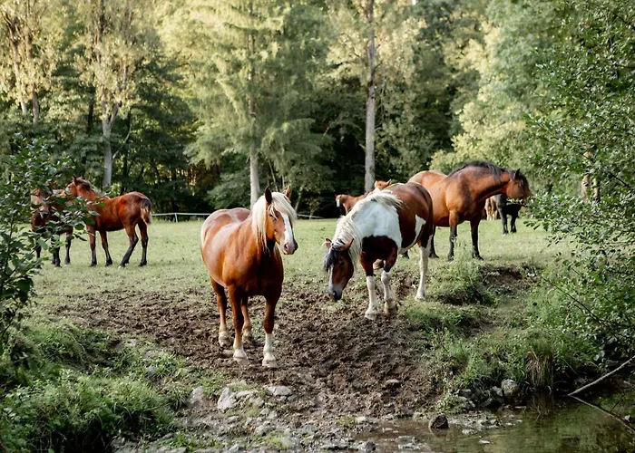 Ekoturizem Hudicevec 4* Postojna